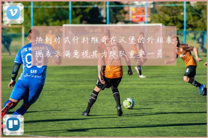 热刺对武什科维奇在汉堡的外租表现表示满意视其为球队重要一员