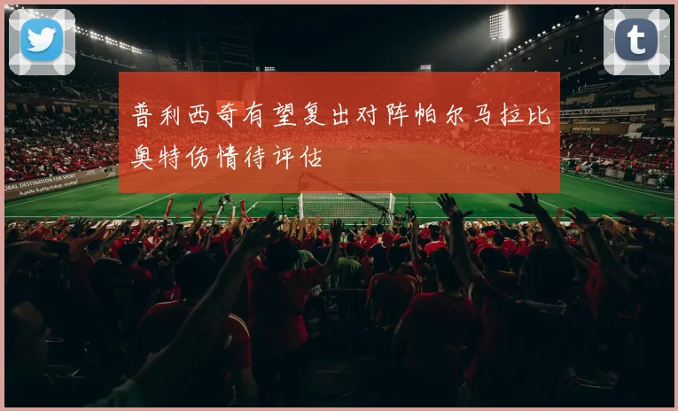 普利西奇有望复出对阵帕尔马拉比奥特伤情待评估