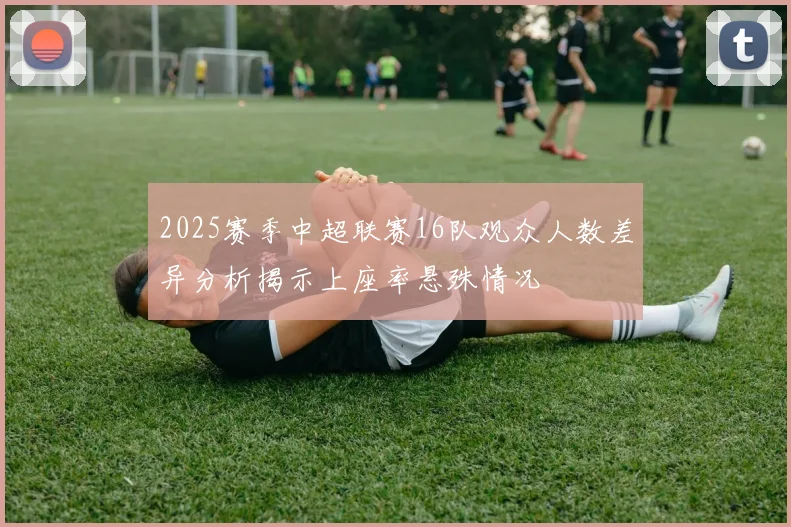 2025赛季中超联赛16队观众人数差异分析揭示上座率悬殊情况